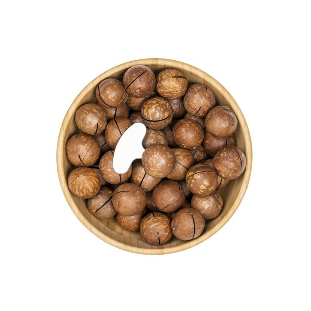 فندق ماکادمیا